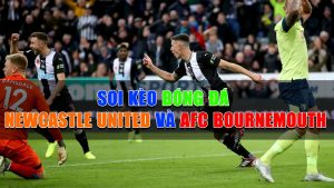 Soi kèo bóng đá Newcastle United và AFC Bournemouth 01
