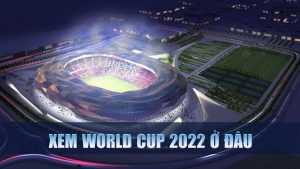 Xem world cup 2022 ở đâu 01